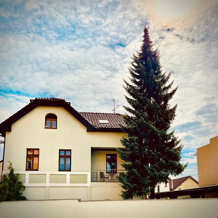 Apartman U Smrku Dvůr Králové nad Labem Extérieur photo
